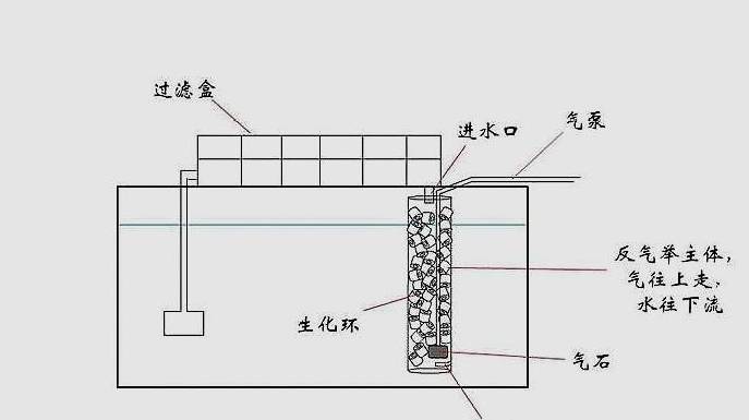 三层鱼缸过滤结构图图片