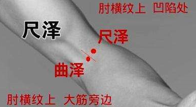 曲泽穴:调养肝脏,定心宁神治心痛的特效穴!_穴位_心包_气血