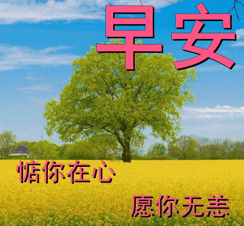 明天11月12日,早上好动态表情图片大全,早晨好动图美图大全_开心_人生