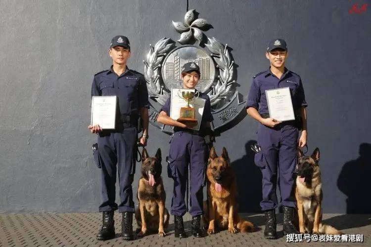 s)——扫黄先锋隶属香港警务处特别职务队,主要负责扫黄,打击卖淫嫖娼