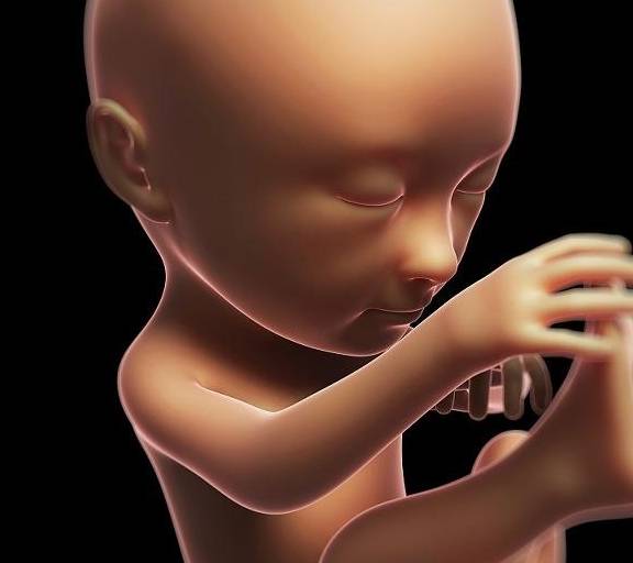 这个月份可能是胎儿的"猛长期"妈妈抓住机会,让孩子跟上营养!