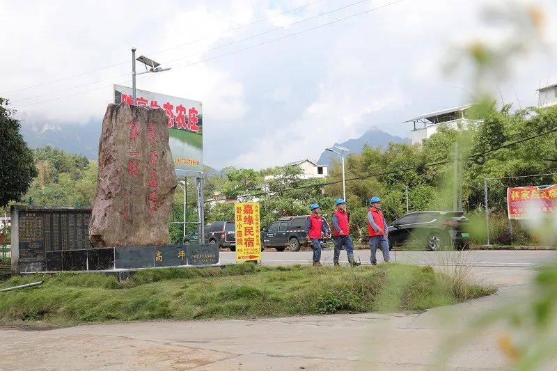 平南供电:满格电助力盆景双十一热卖_用电_群众_用户