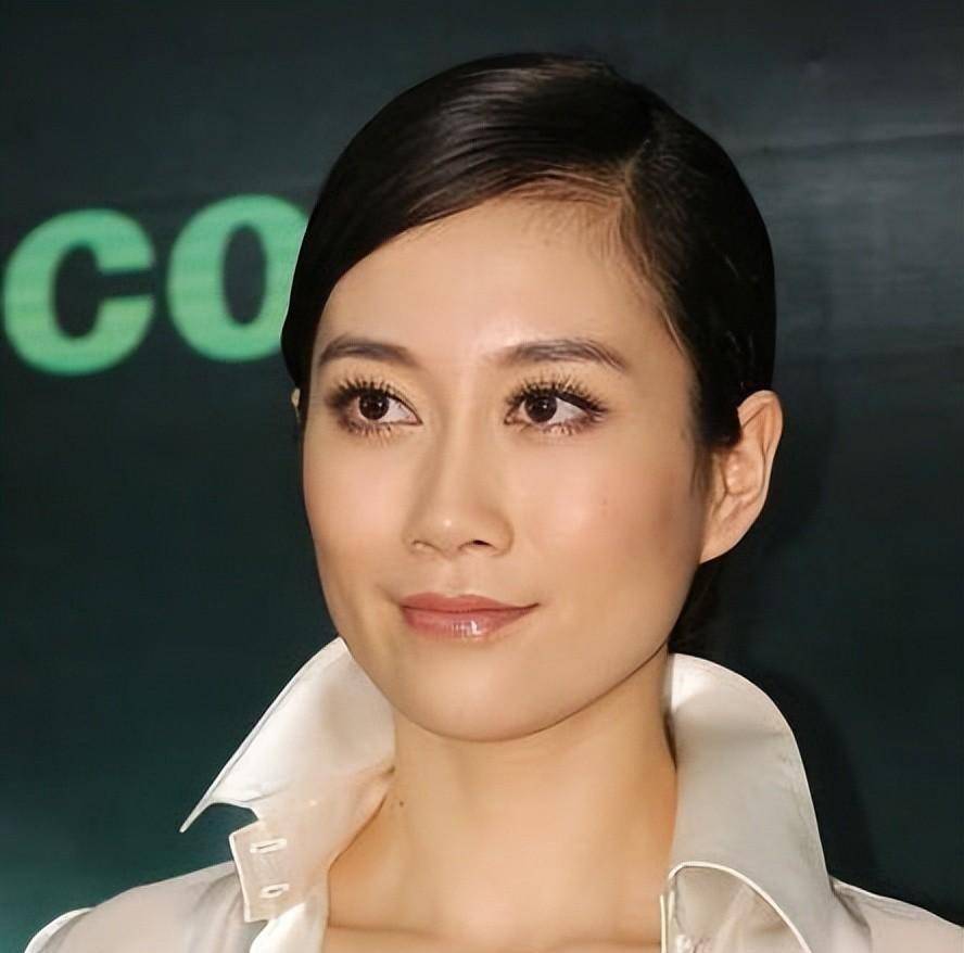 "致命女人"温峥嵘,25年不温不火,隐婚初恋生子,46岁风采依旧_表演