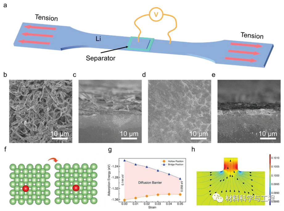 锂枝晶 来自搜狐网