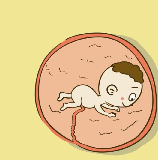 怀孕五个月胎儿真实图图片
