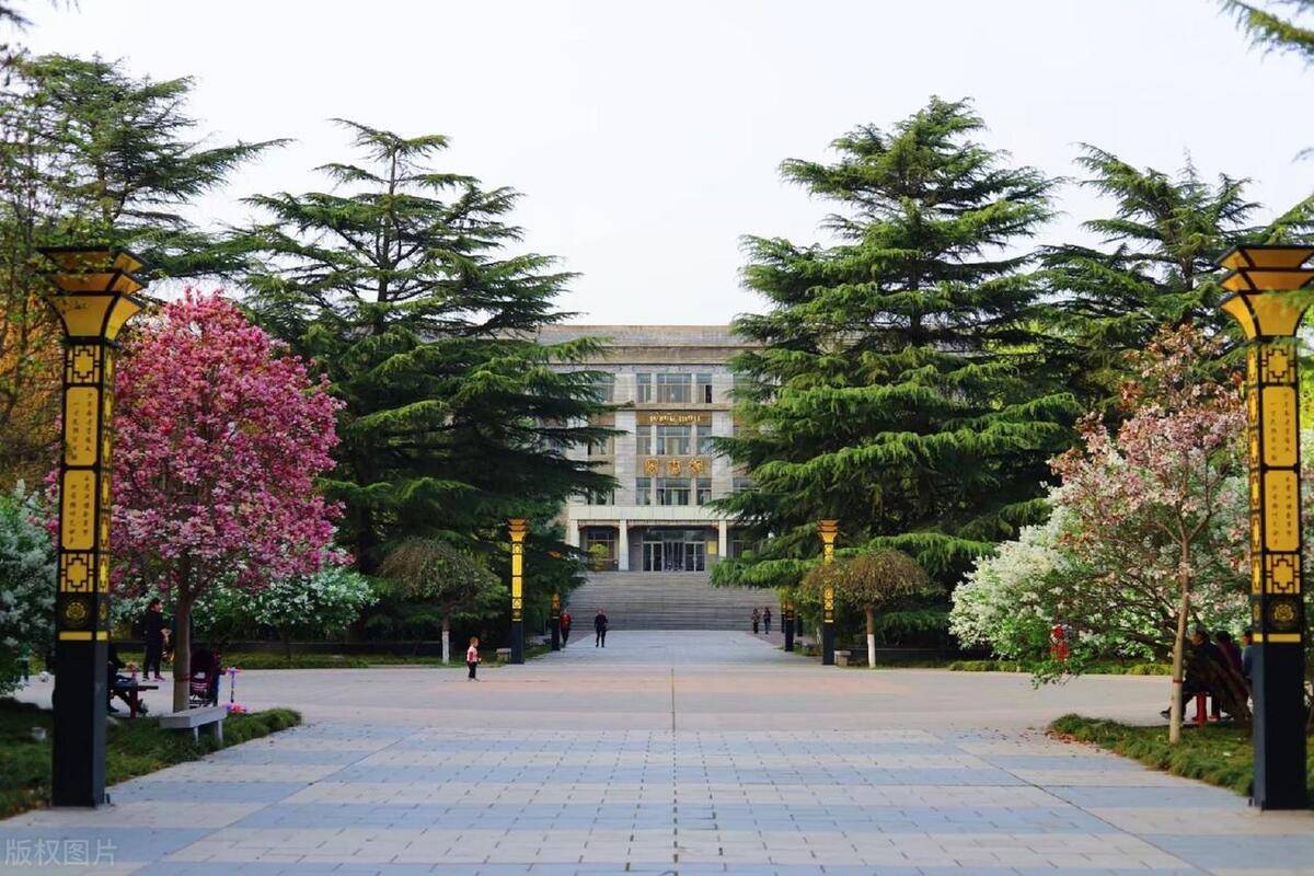 民族学第13,2023西藏民族大学最好学科排名,新闻传播学第55_评价_中国