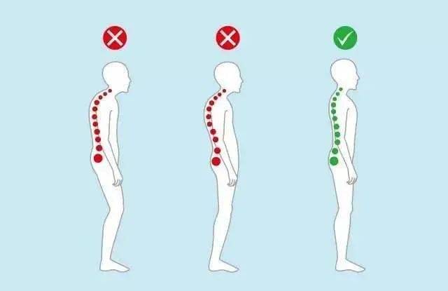 睿莱智能动态体测仪丨关爱儿童体态,体培机构应定期开展体态评估测试