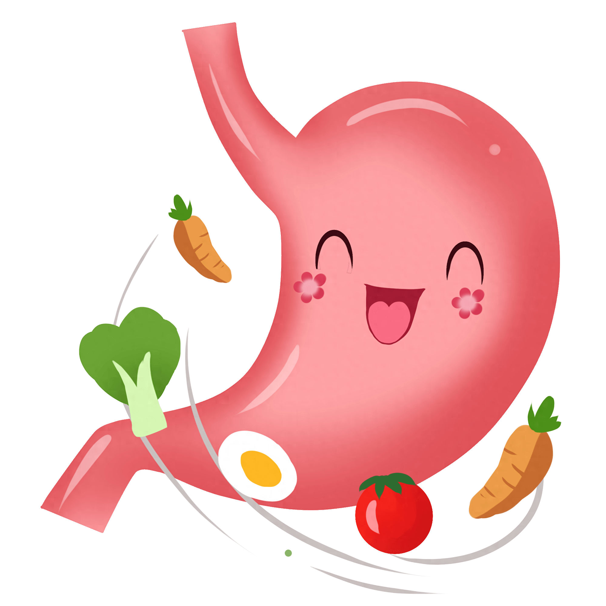 壹邦健康知识:好的养胃方法是什么,饮食有什么要注意的吗?