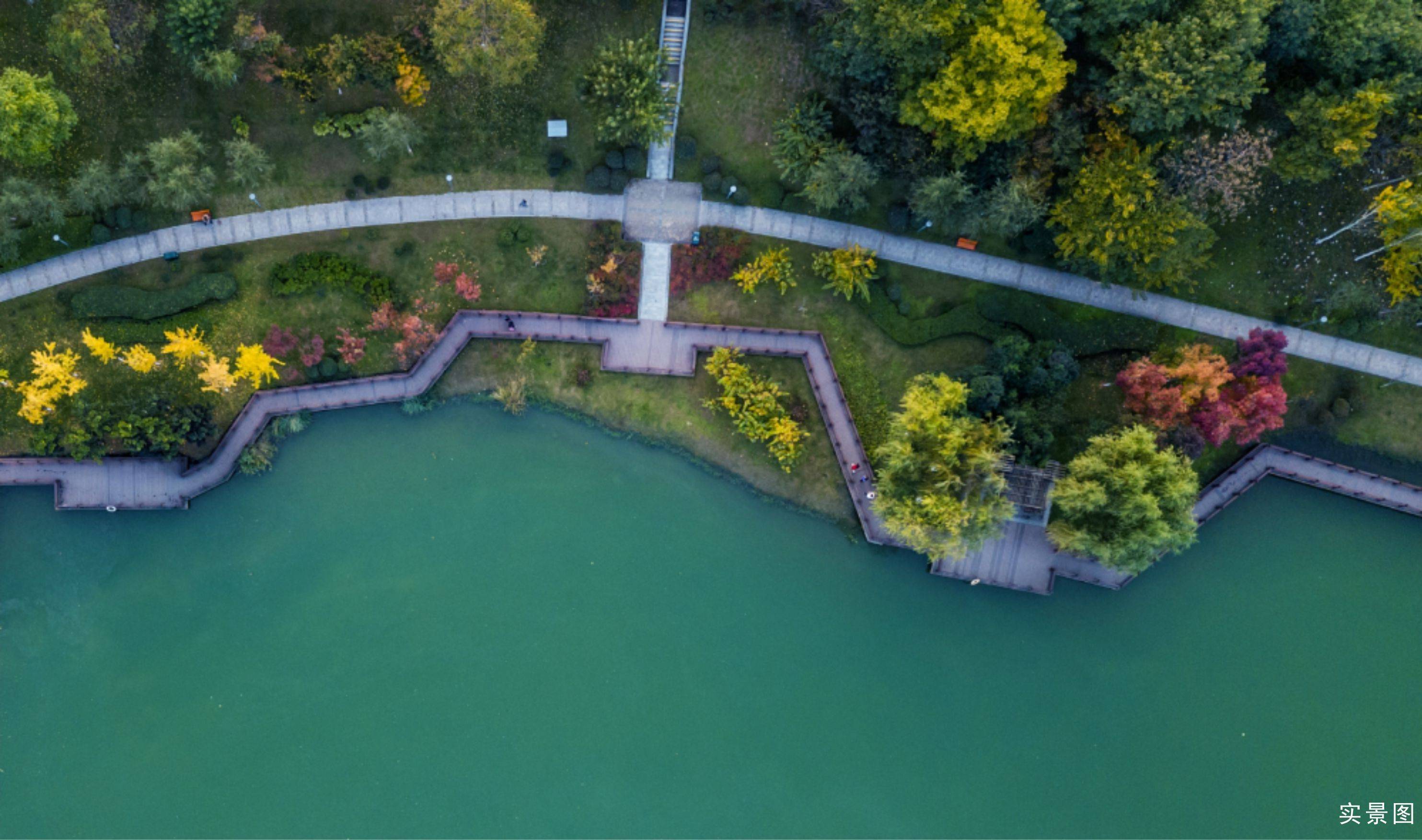 西安湿地公园图片图片