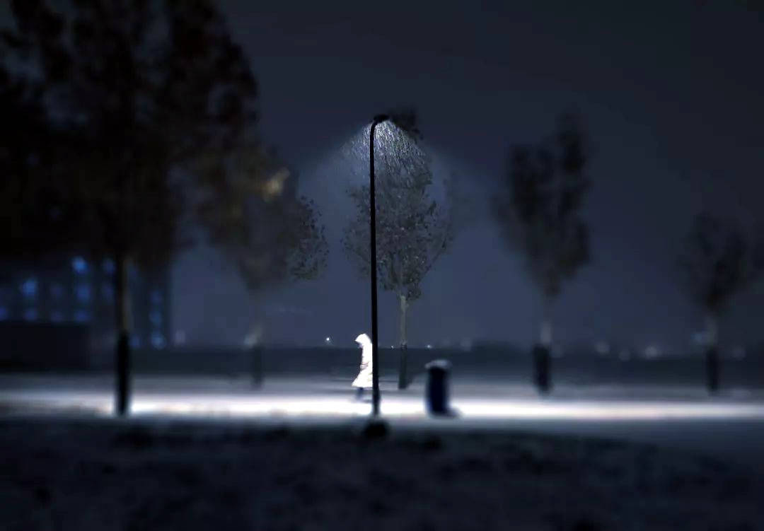 晚来天已雪,能饮一杯无?_人生_世界_岁月