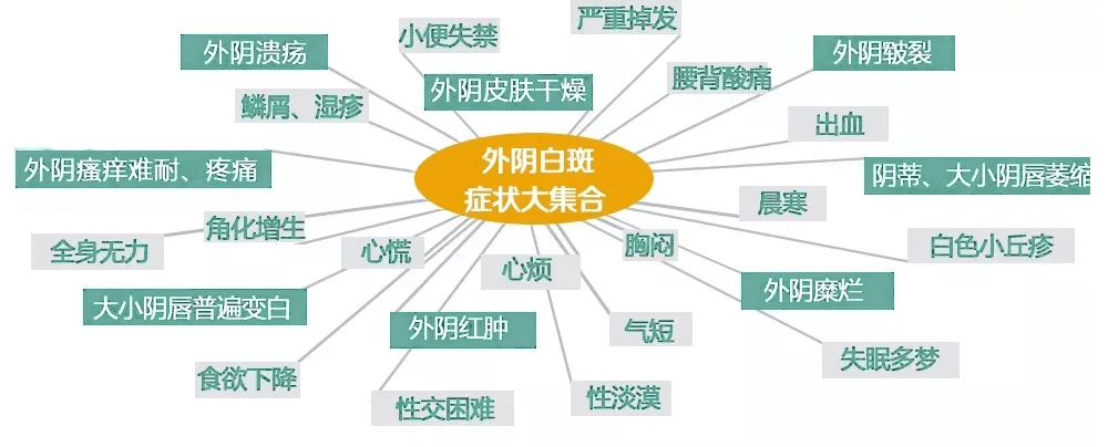 昆明良方外阴白斑研究中心所有医生-外阴白斑疾病常见的症状有那些?