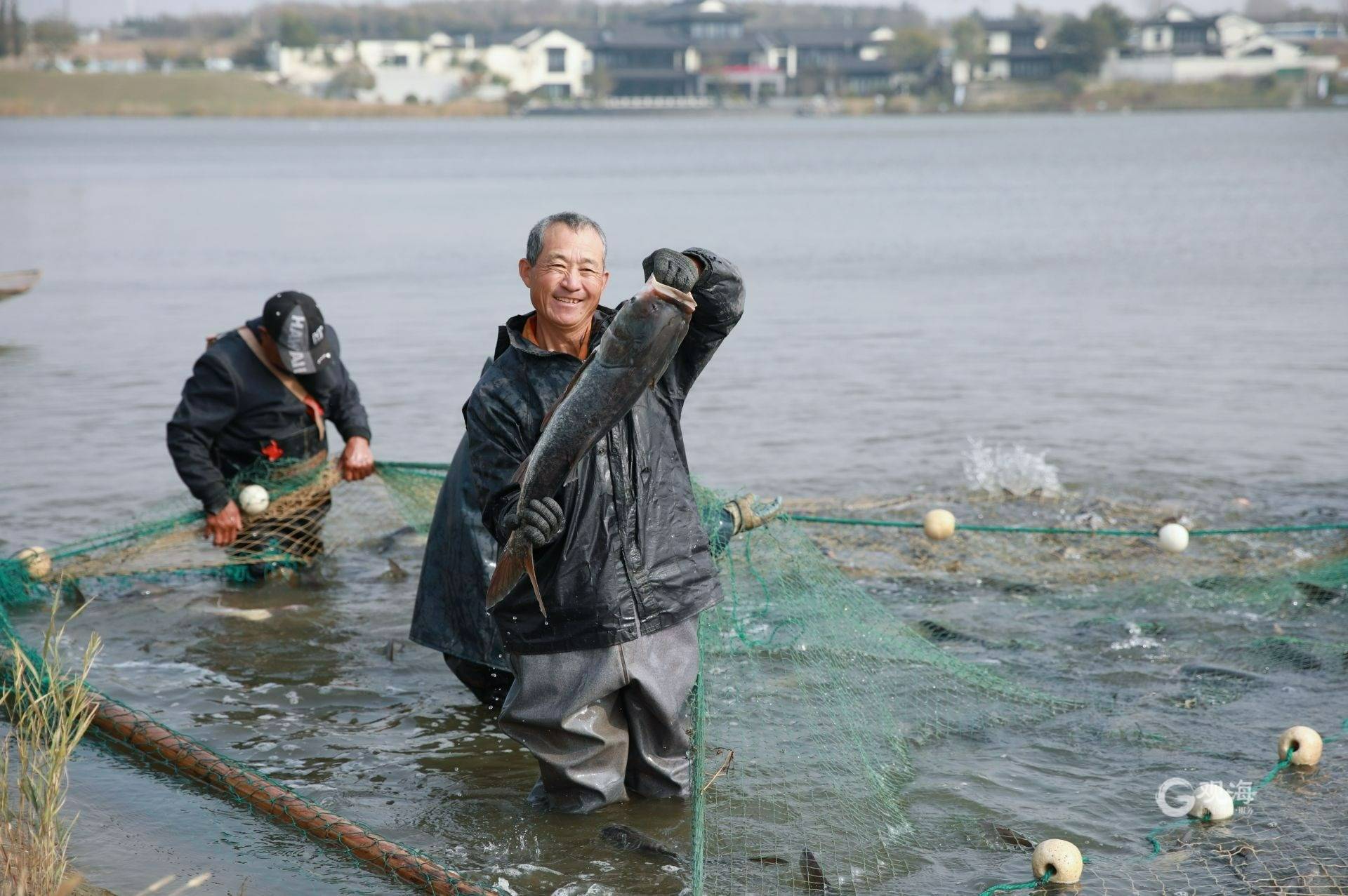 鱼儿跃,渔民笑随着一条条大鱼捕捞上岸,渔民的脸上洋溢开幸福的笑容