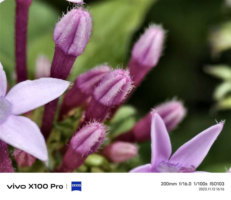 拍月亮那都不是事儿！vivo X100 Pro评测：APO认证的超级长焦 它能拍太阳(图46)