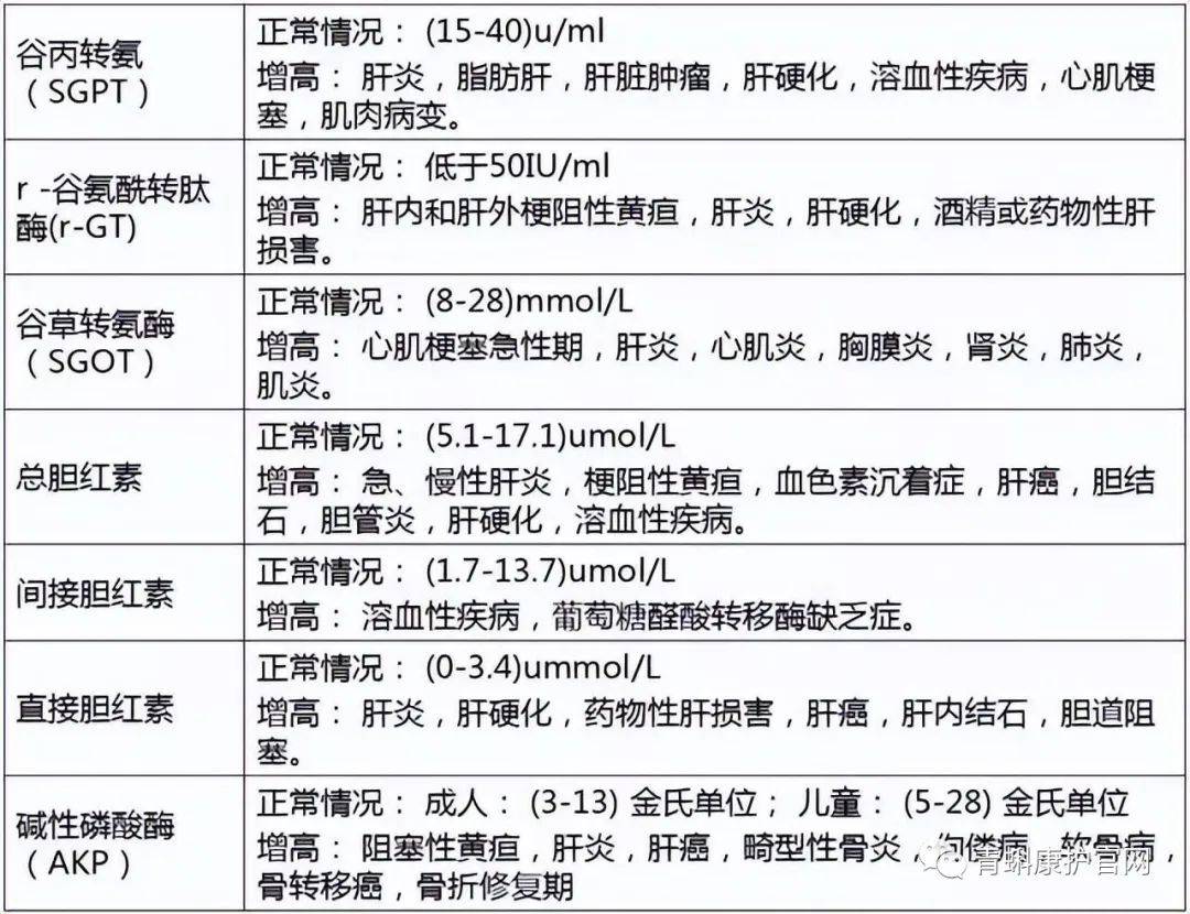 3分鐘搞懂體檢報告,讓你健康無憂(體檢必備)_指標_檢查_白細胞