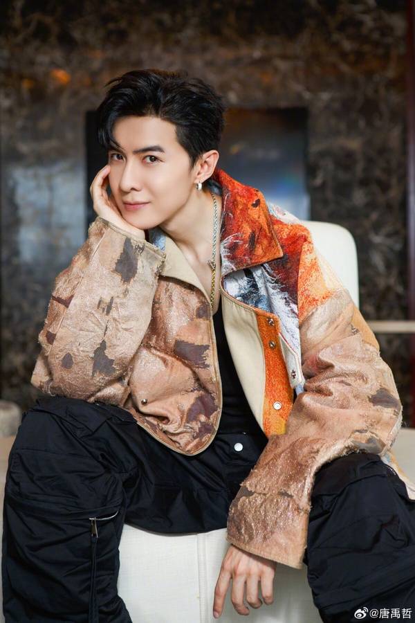 唐禹哲小孩11岁,华晨宇太震惊,《甄嬛传》她也当妈_微博_郑爽_陈坤