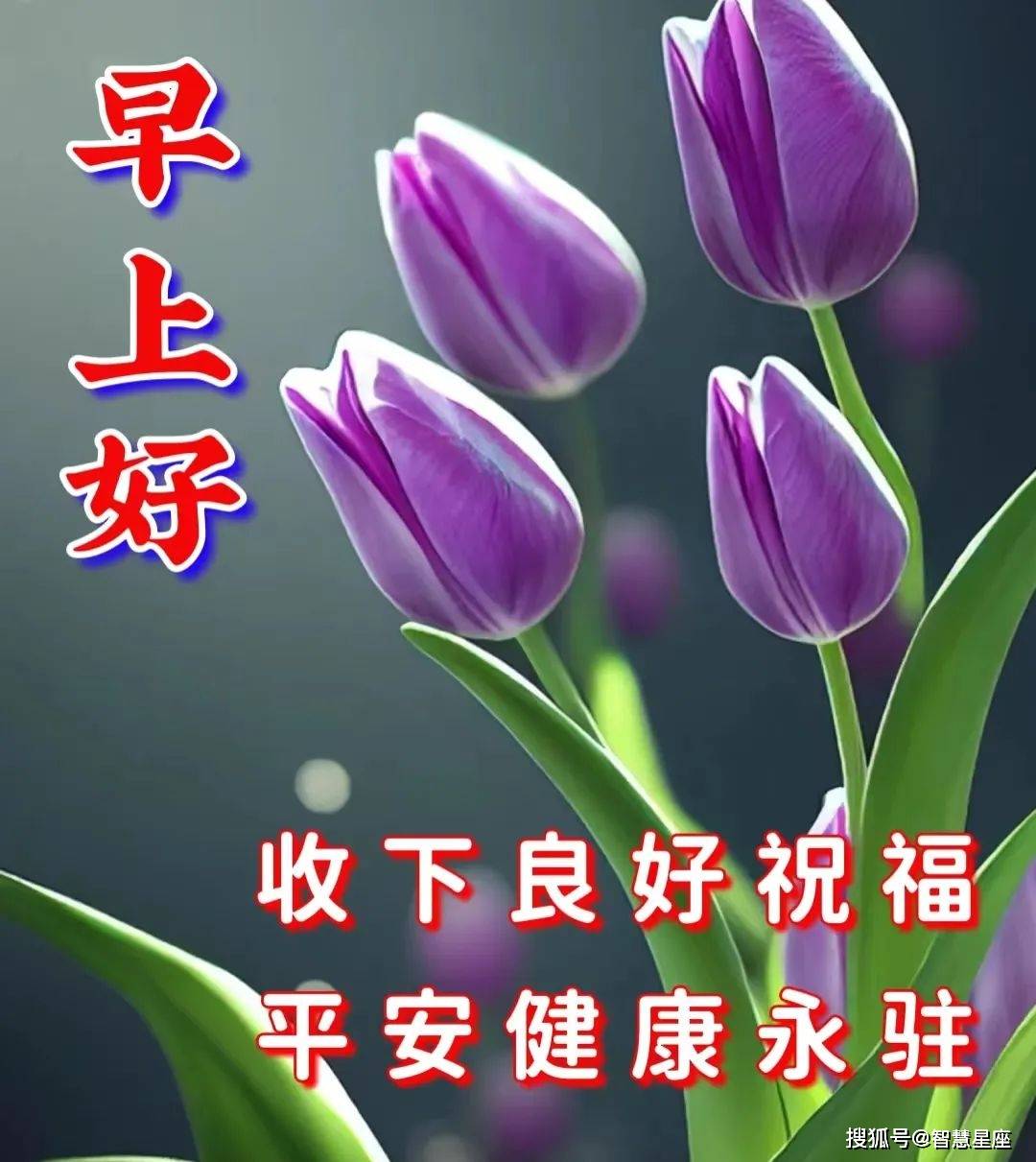 今日最佳早安句子冬天(今日最佳早安句子冬天图片)
