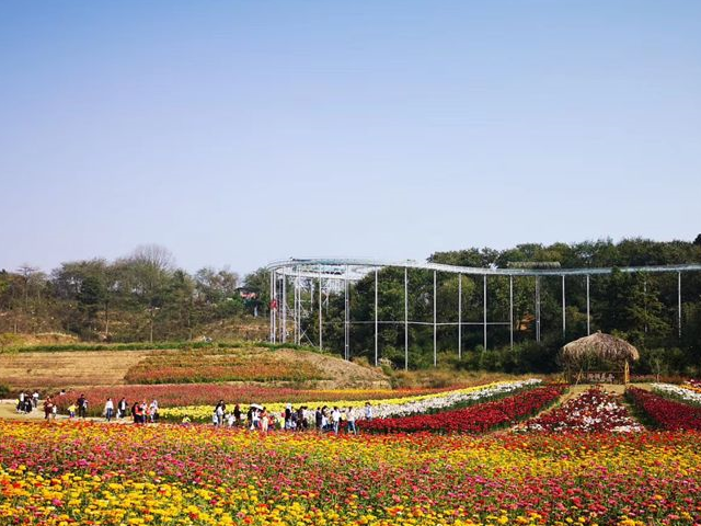 安徽铜陵私藏着这样一处网红打卡地,这就去发现秋天的各种小美好_滋味