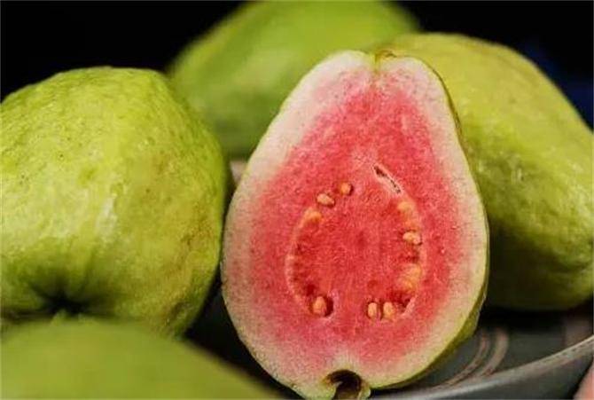 芭乐里面的籽可以吃吗?怎么挑选番石榴?挑硬的还是挑软的?