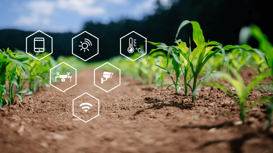 中国广电广州公司科普:5g智慧农业,如何改变我们的生活?