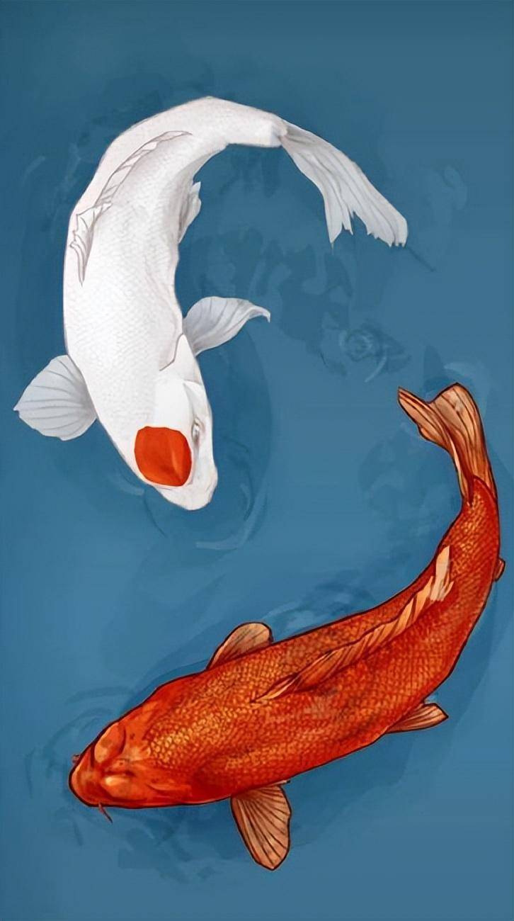 11月18日,《逆水寒》"双锦鲤"正式诞生,因为这游戏一个是道具服,一个