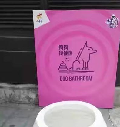 网友爆料在北京的某餐厅内，网友带着自己的宠物狗一同上桌吃饭，看上去十分不卫生，在网上引起了讨论。