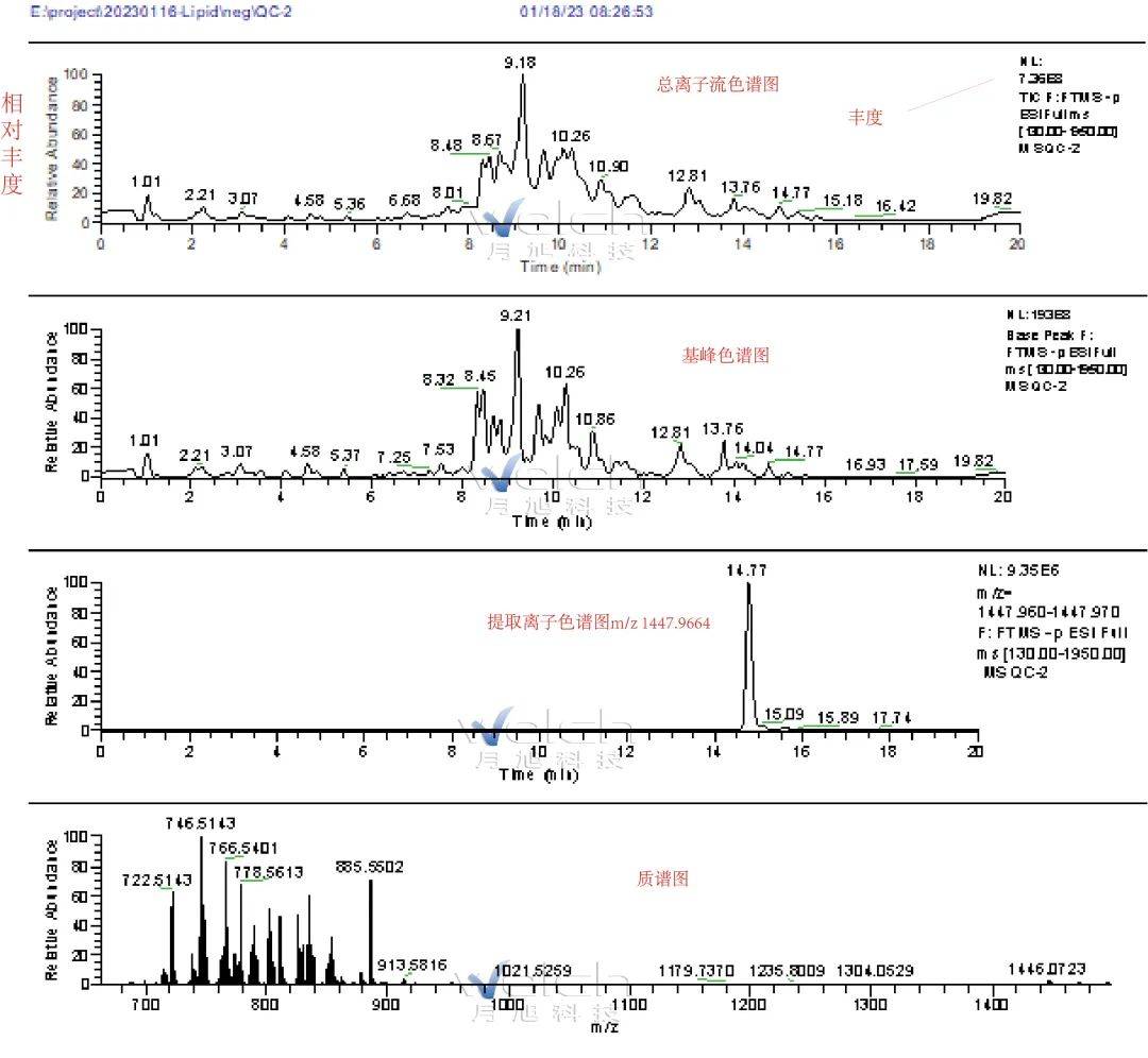 手把手教你看高分辨質譜的色譜質譜圖_離子_質荷_穀氨酸