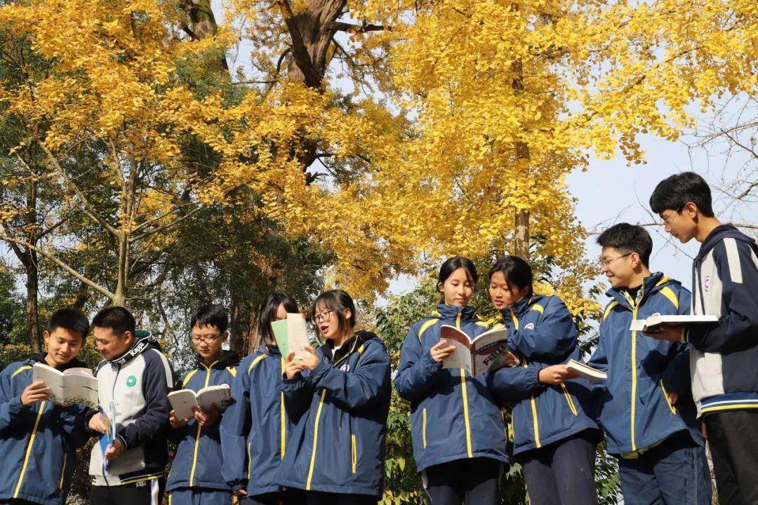 都江堰领川,成都最牛高三表白墙._绵阳_高考_文科生