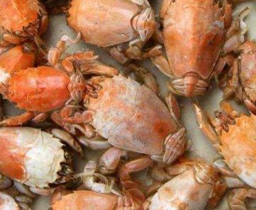 原以为是皮皮虾,花300元买了5斤,回到家老婆一看:捡了大便宜!