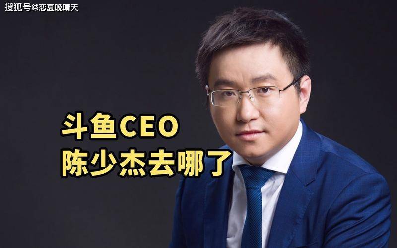 斗鱼ceo陈少杰涉嫌开设赌场罪被捕_社会_直播_案件