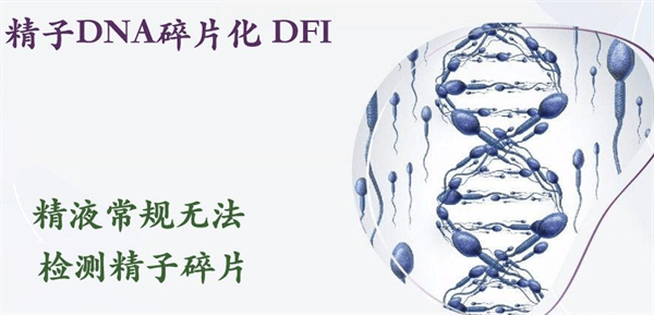 男性精子dna碎片率高如何应对?快速改善精子dna质量的方法