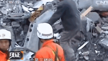 20年前的老片被顶上热搜，炸死功勋犬，导演还被夸“善良”？ 