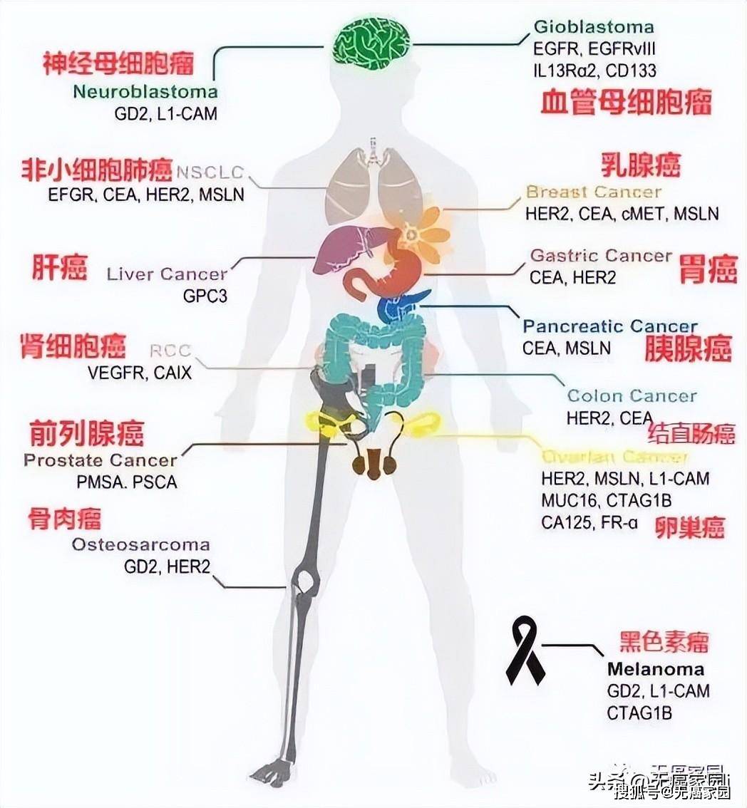 盤點2023年血液腫瘤,實體瘤熱門