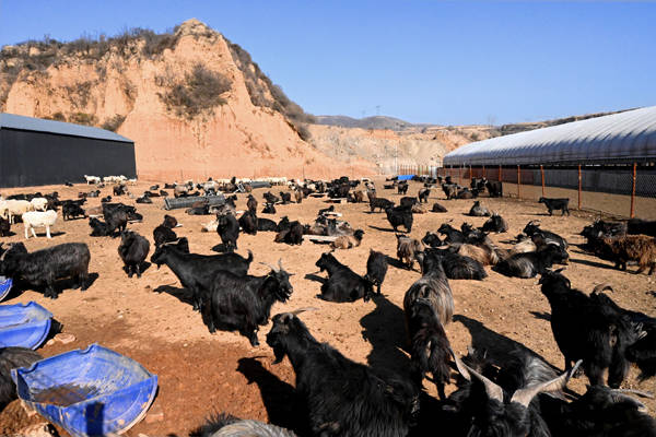 盂县牛村镇:聚焦群众"急难愁盼" 全面提升"幸福指数"_道路_产业