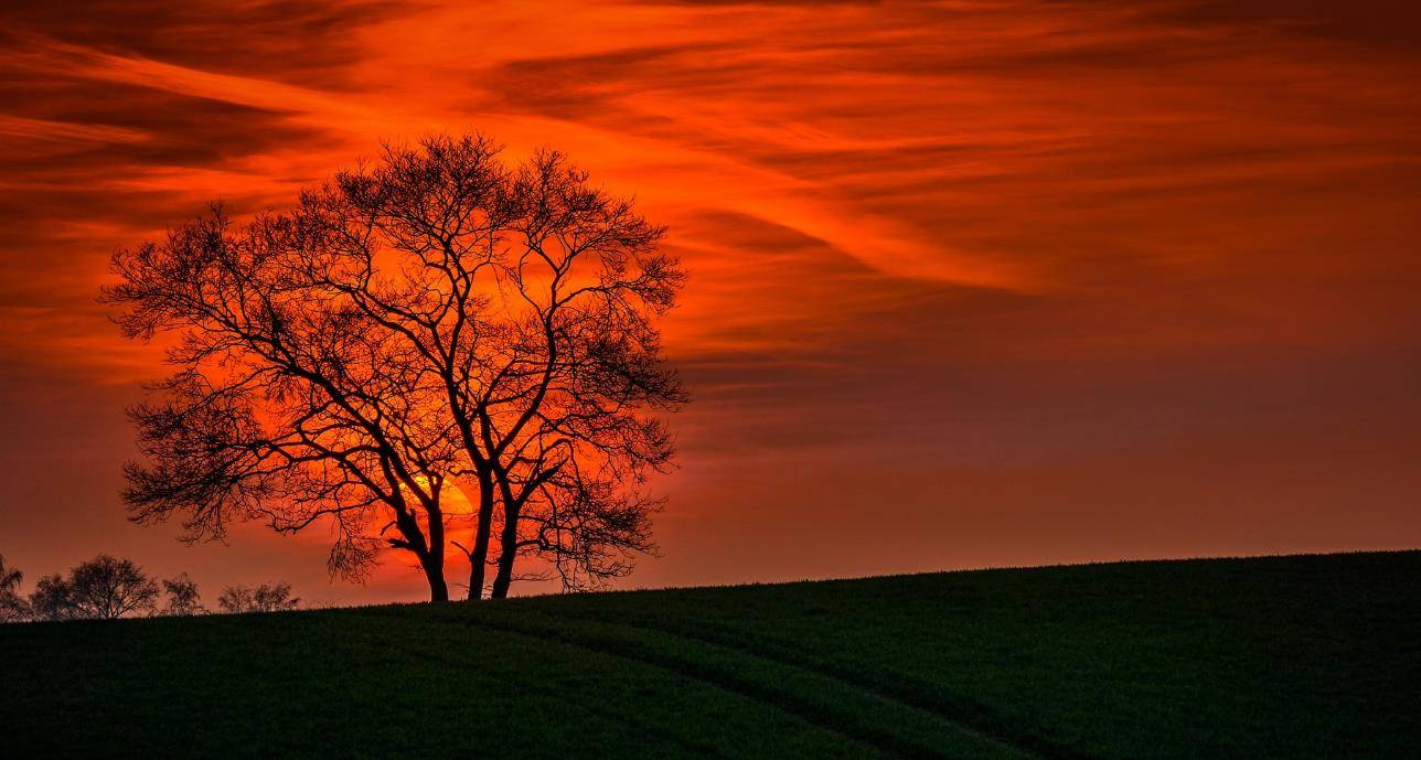 城府深,个性强,眼光高,实事求是,不明朗的星座_生活_金牛座_天蝎座