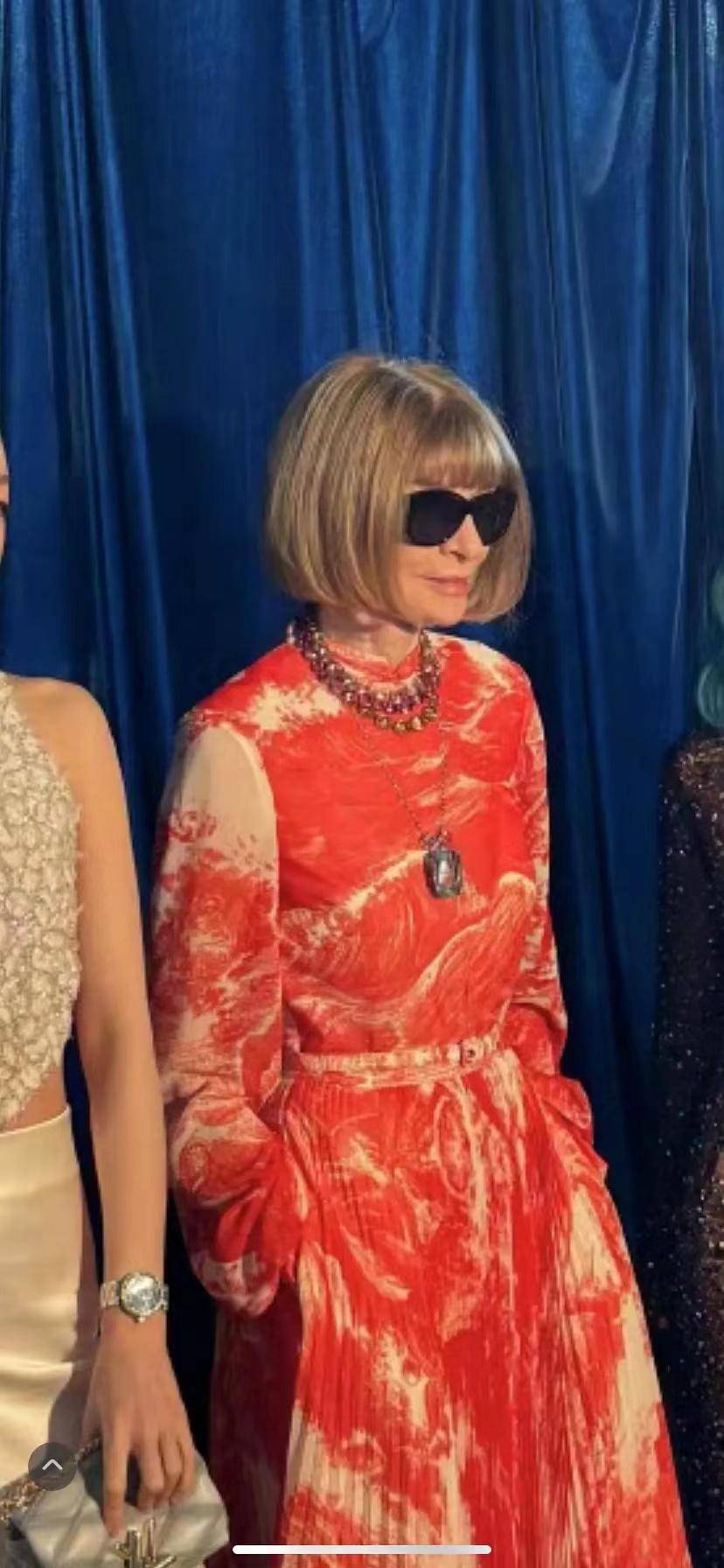 安娜穿成五花肉镇场,明星穿国产扳回一城_活动_时尚_中国