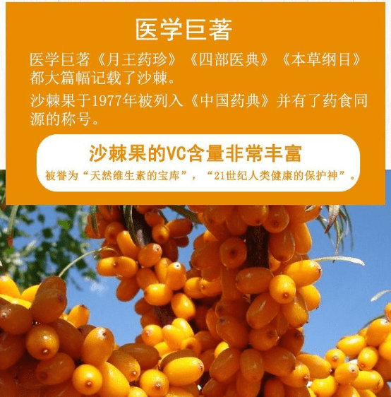 沙棘原浆多少钱,价格亲民,让您拥有养生之道!_成分_小白_产品