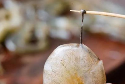 有人说虾线太脏了,其实虾线就是虾的肠道,里面很多都是泥巴之类的,在