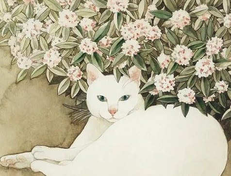 细数日本猫咪文化的前世与今生！爱猫的你，不可错过！ 