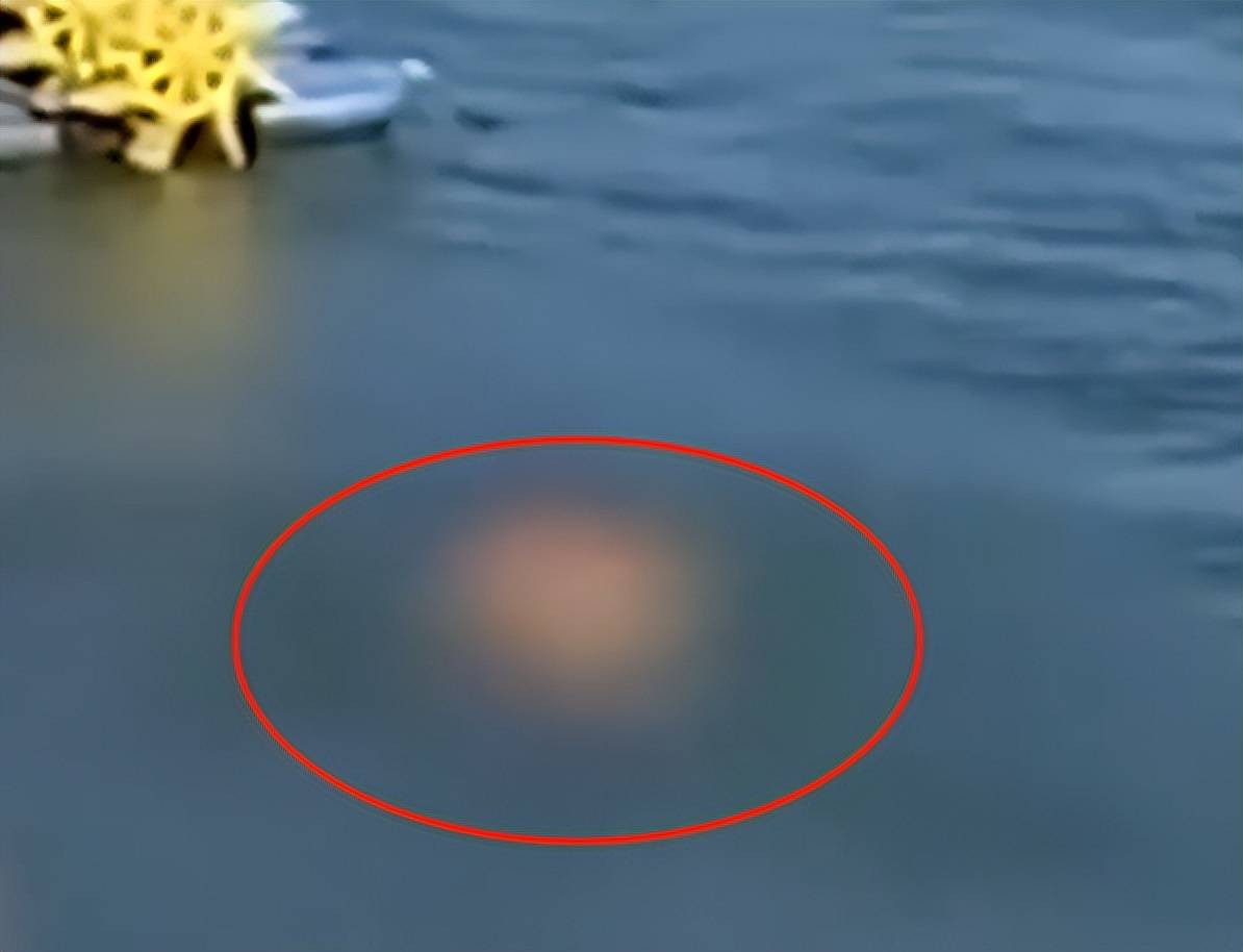 一美女在洱海裸泳,现场画面曝光,恐受处罚_女子_游泳_行为