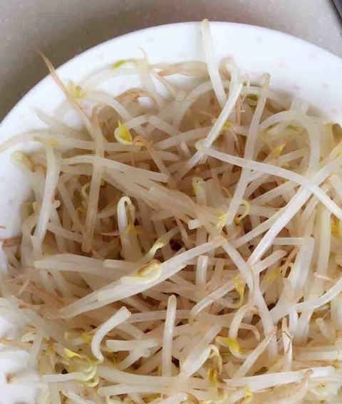 "天然酵素"被发现了,减肥可常吃,瘦身快,腰肢纤细!_豆芽_葱白_鸡精