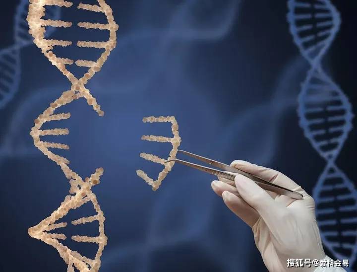 未來10年,生物醫藥需重點關注的10大領域_抗體_重組