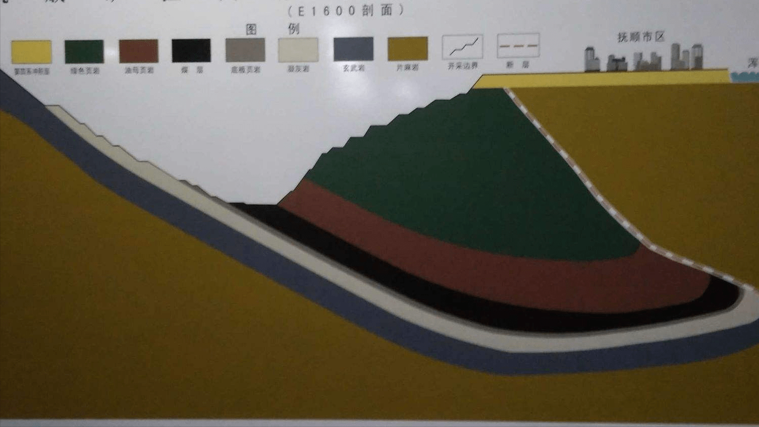 藏在地下的最大煤田，面积相当于我国四分之一，真是植物形成的？(图14)