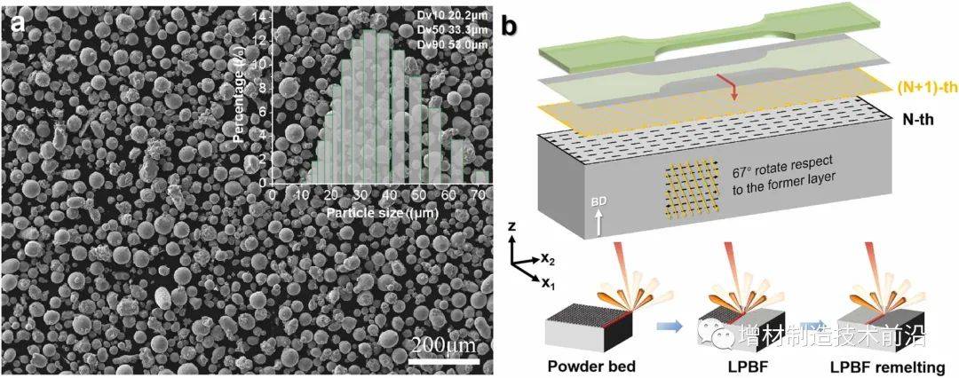 西工大突破:无需热处理即可获得高性能金属3d打印合金材料_结构_微观