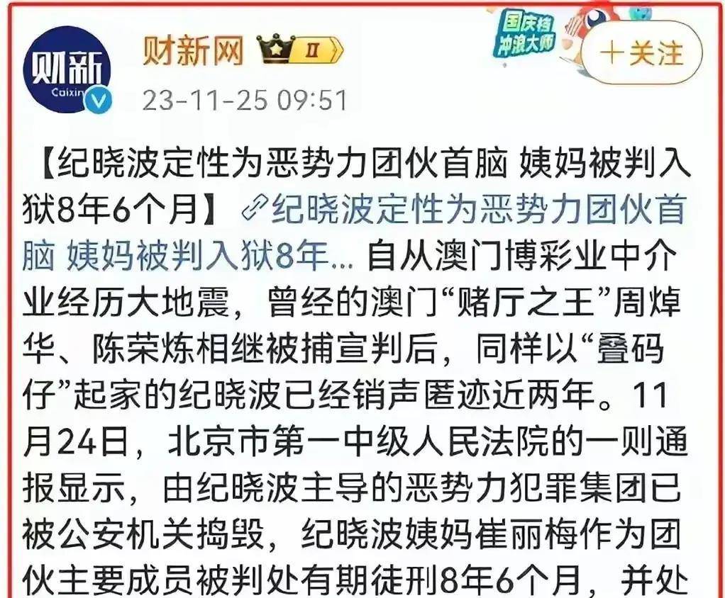 纪晓波被定性为恶势力首脑,姨妈被判8年半,吴佩慈生活依旧奢侈