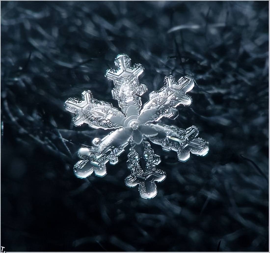 世界上最大的雪花能有多大?答案超出你的想象