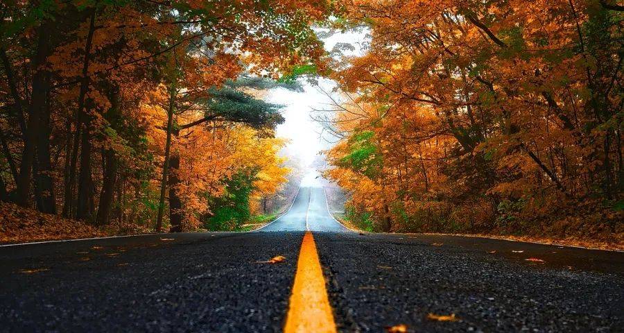 厨电企业不能在“温水煮青蛙”中沦陷-家电圈官网