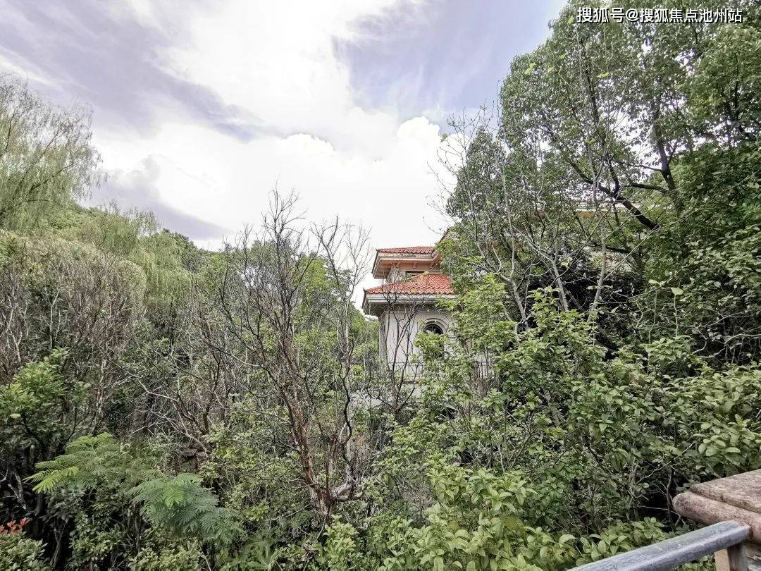 上海云顶别墅(售楼处)最新网站售楼处|云顶别墅售楼处欢迎您|楼盘详情