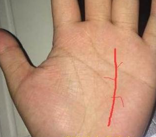 贵人纹又称第二生命线,如果有贵人纹,那么容易与贵人相扶人缘好_工作