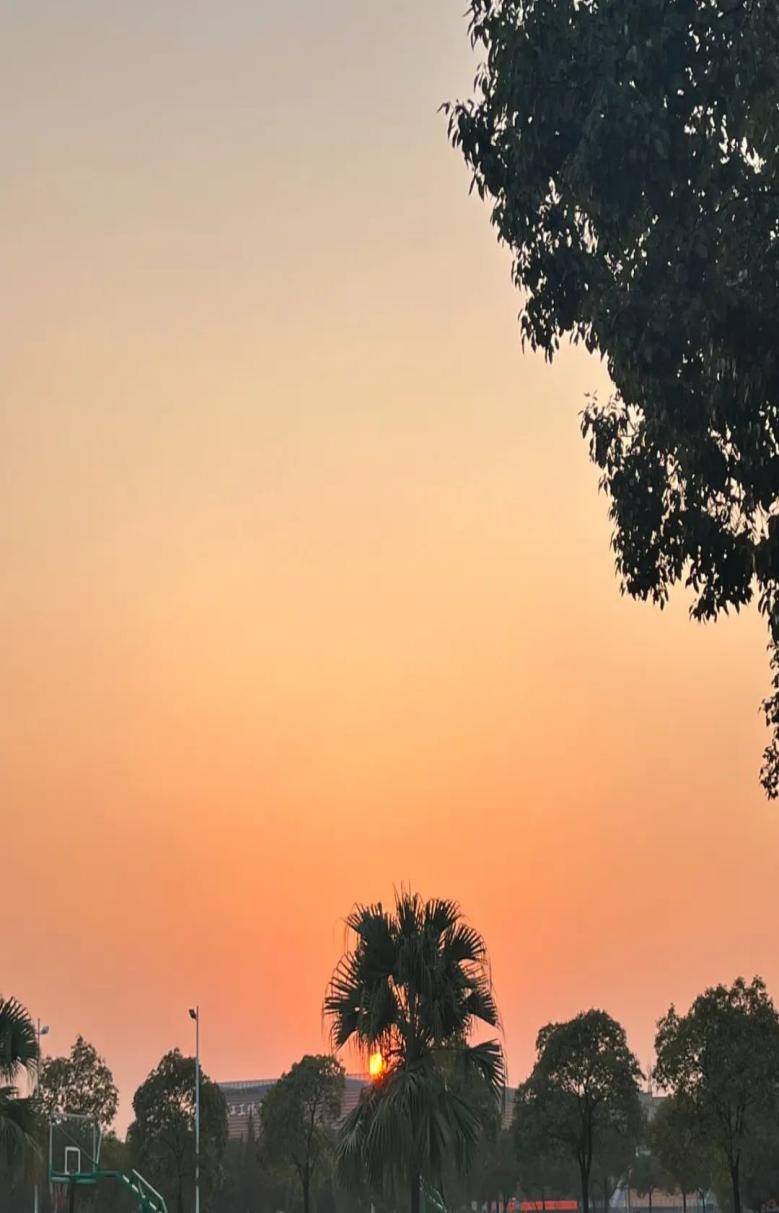 江西工程学院数字经济产业学院举行最美摄影大赛活动_来源_图片_本科