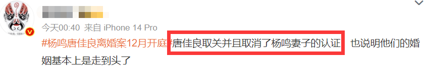 杨鸣妻子疑发长文曝男方出轨细节,小三未婚先孕